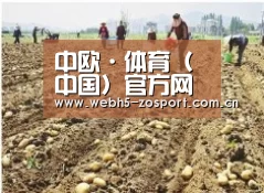 种植基地一
