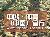 种植基地八(图1)