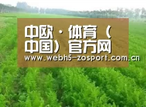 种植基地四