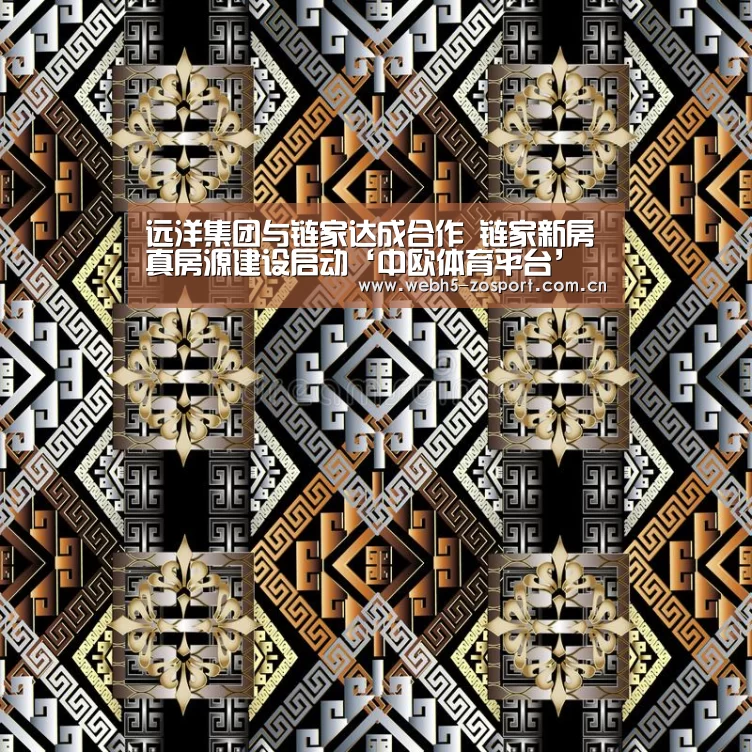 中欧体育