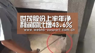 世茂股份上半年净利润同比增43.6%-zoty体育(图1) zoty体育