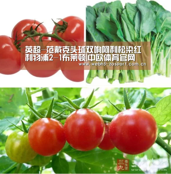 英超-范戴克头球双响阿利松染红 利物浦2-1布莱顿|中欧体育官网(图4) 中欧体育平台