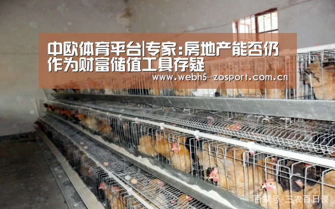 中欧体育平台|专家:房地产能否仍作为财富储值工具存疑(图2) 中欧体育平台